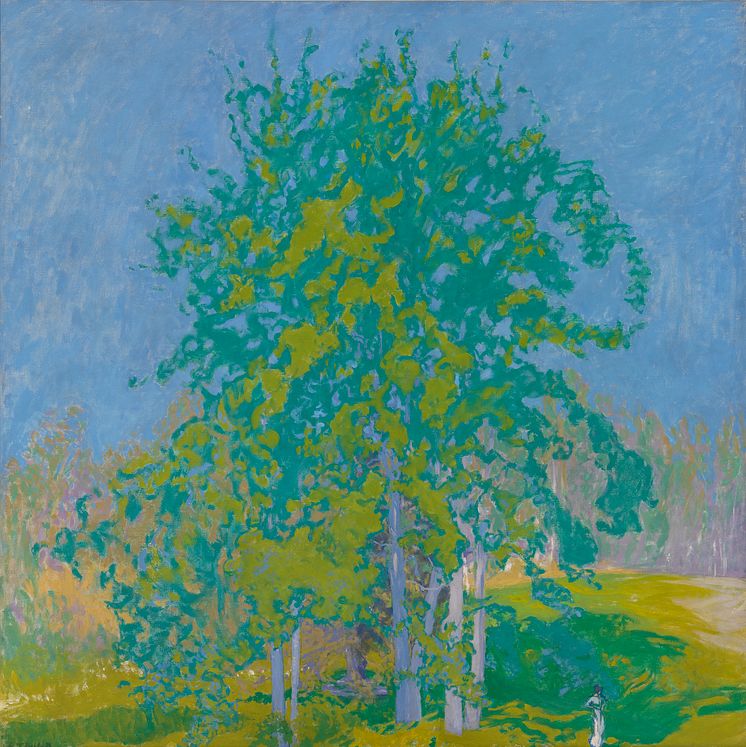 Bonnard och Norden