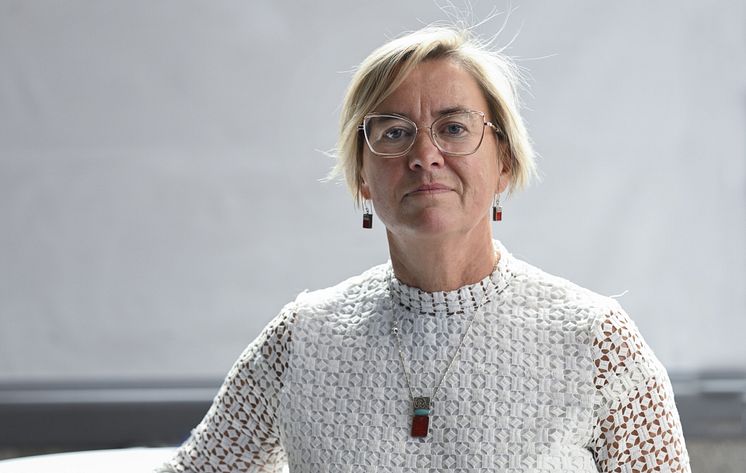 Lotta högkostnadsskydd.jpg