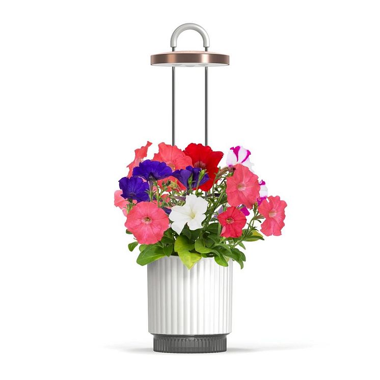 HydroVase-web-5.jpg