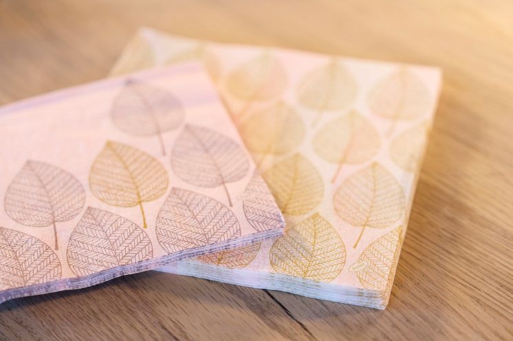 2024 DUNI Aspen Napkin 1054.jpg