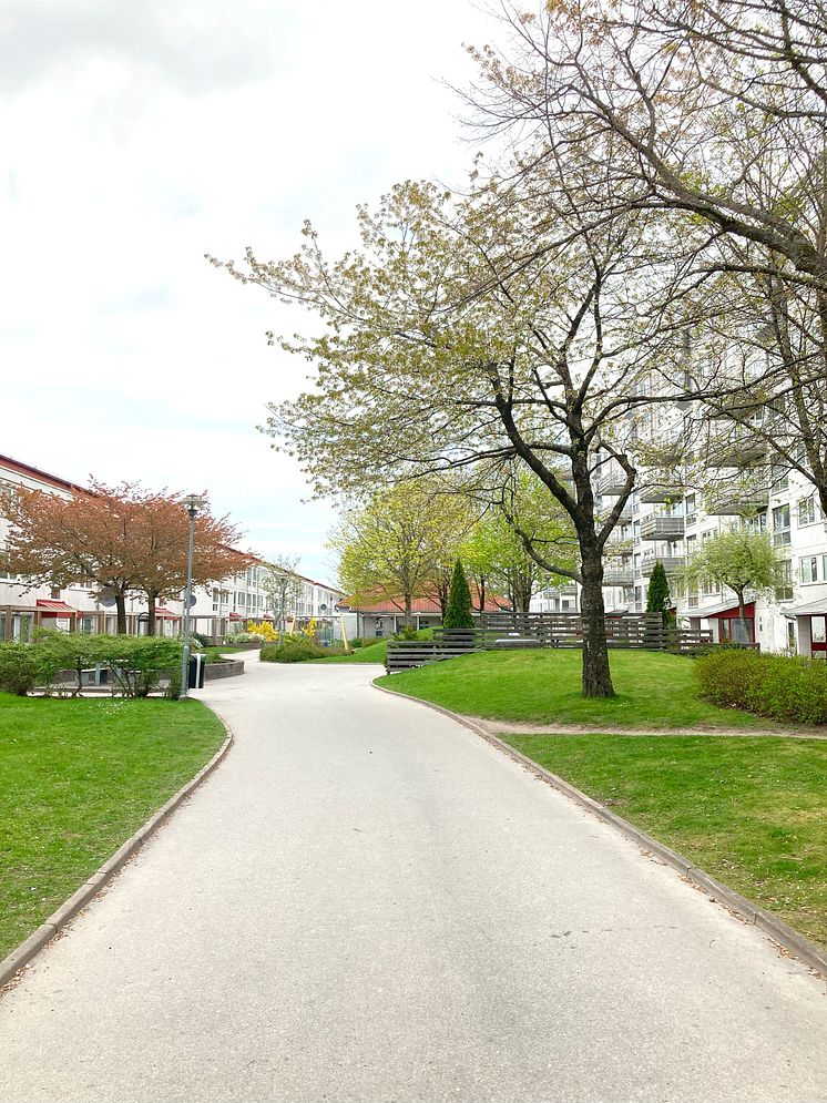 Muskotgatan i Gårdsten