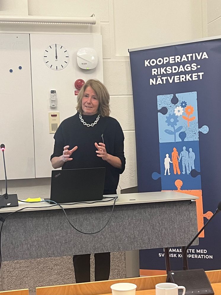 Johnna Frelin vd på Riksbyggen i Riksdagen 241023.jpg
