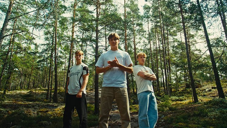 Fjellrev