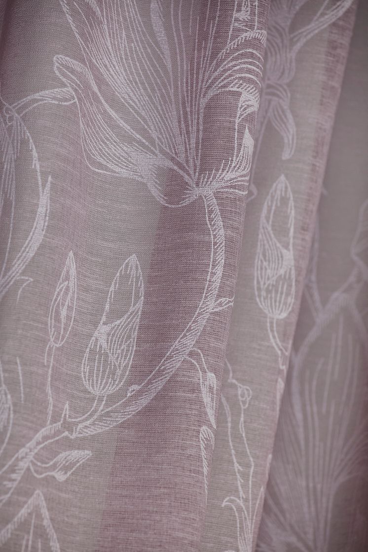 86658-31_2 Curtain Doris Magnolia closeup.jpg