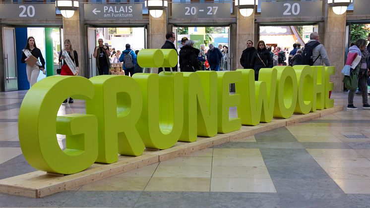 Pressebild Grüne Woche.jpg