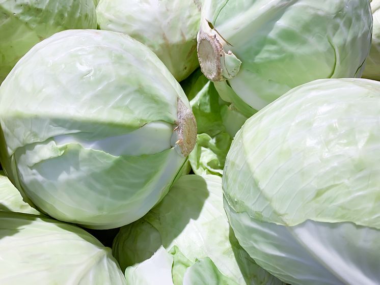 iStock-1191314011.jpg