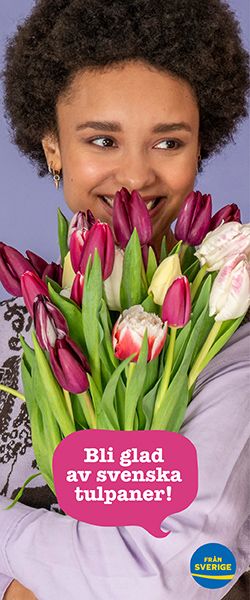 Tulpankampanj-annons-250x600px2.jpg