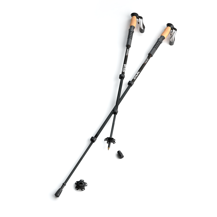 Trekking Poles Carbon (Black)_38120_main persp.png