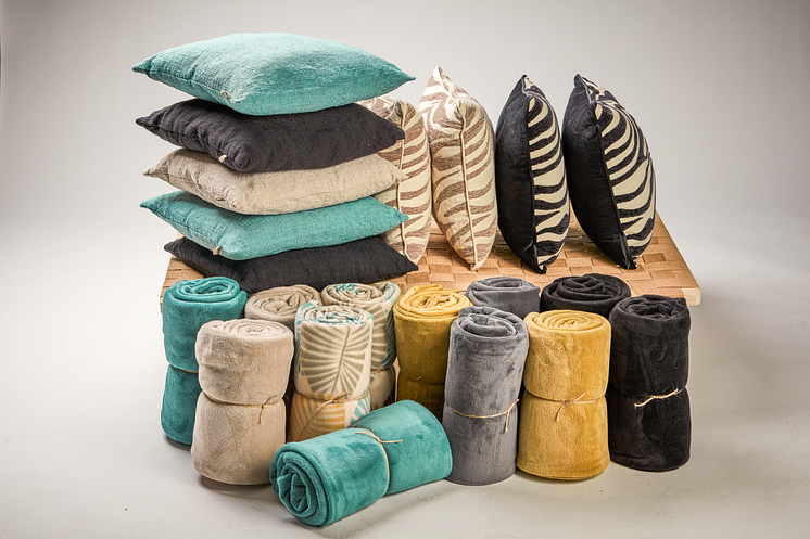 870428-00_2 Cushion Bastian.png