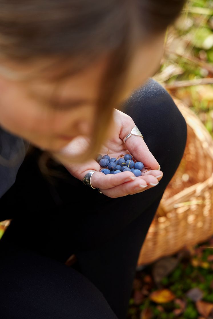 Restaurangchef Saga Wallin i naturens skafferi