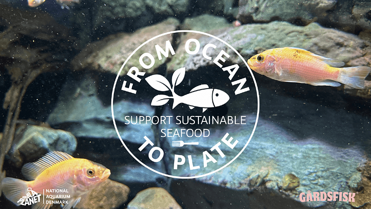 From ocean to plate.png