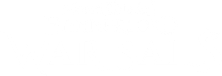 Mount_&_Blade_II_Bannerlord_War_Sails_Logo_White.png