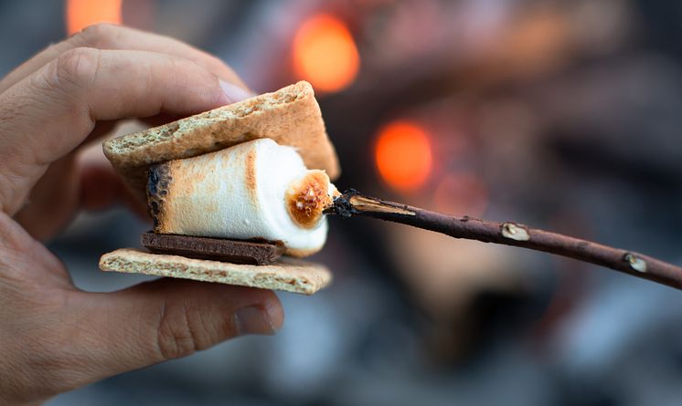 S'more.jpeg