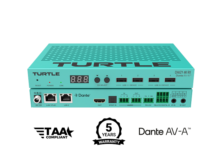 Turtle_AV_CHAZY_4K_CBK.png