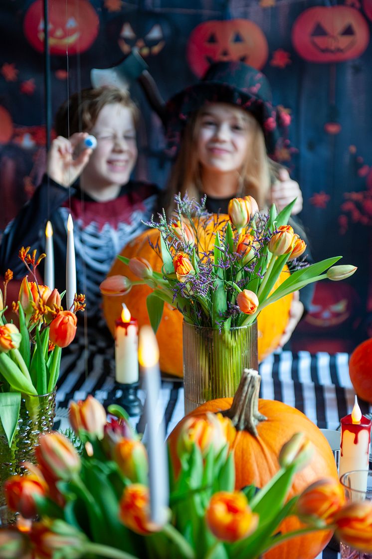 Halloweenfest med tulpaner och pumpor i dukning