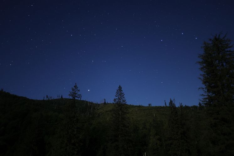 Canon RF 24mm F1.4L VCM_Night_Sky_DPP_Edit_CINC_Sample_55[1].jpg