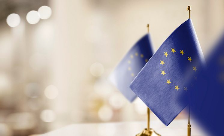 Setterwalls - EU flagga.jpg