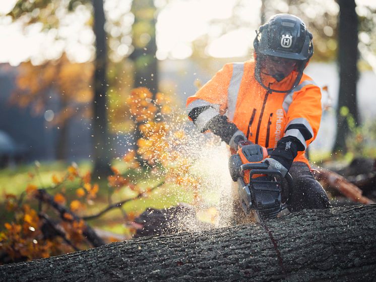 Husqvarna 550i XP_Press picture 3.jpg