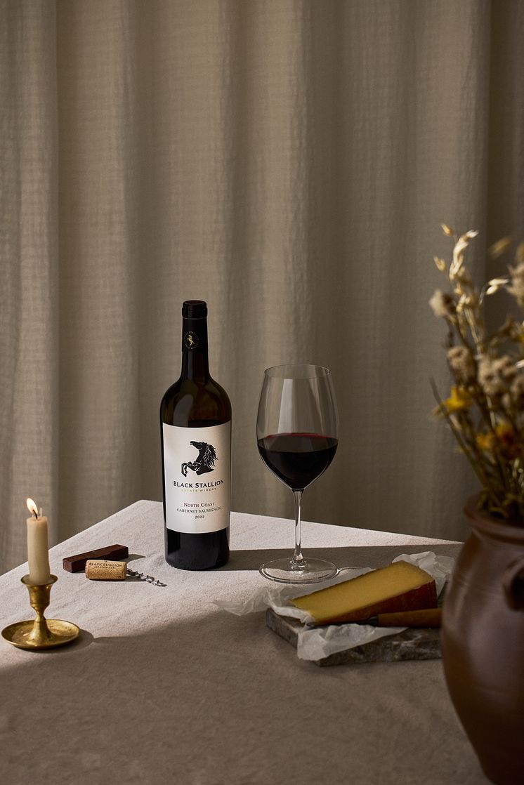 Black Stallion North Coast Cabernet Sauvignon