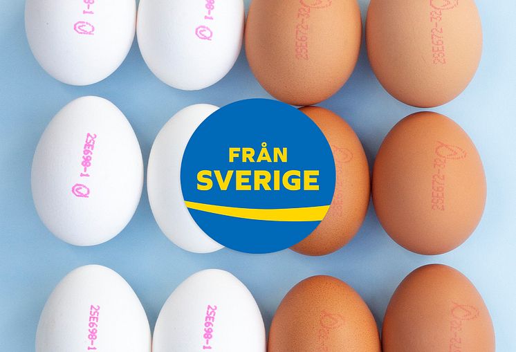 Ägg_FrånSverige.jpg