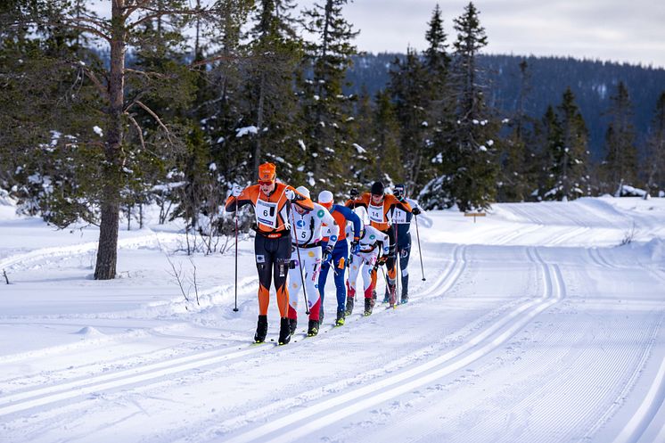 Trysil Skimaraton2025_Pressemelding-3.jpg