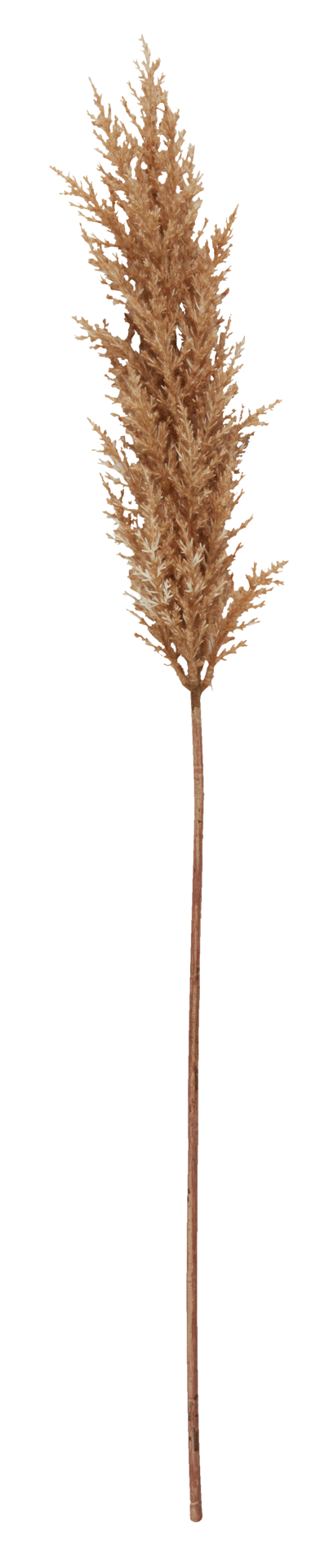 Kunstblume TOMAS Freisteller.png