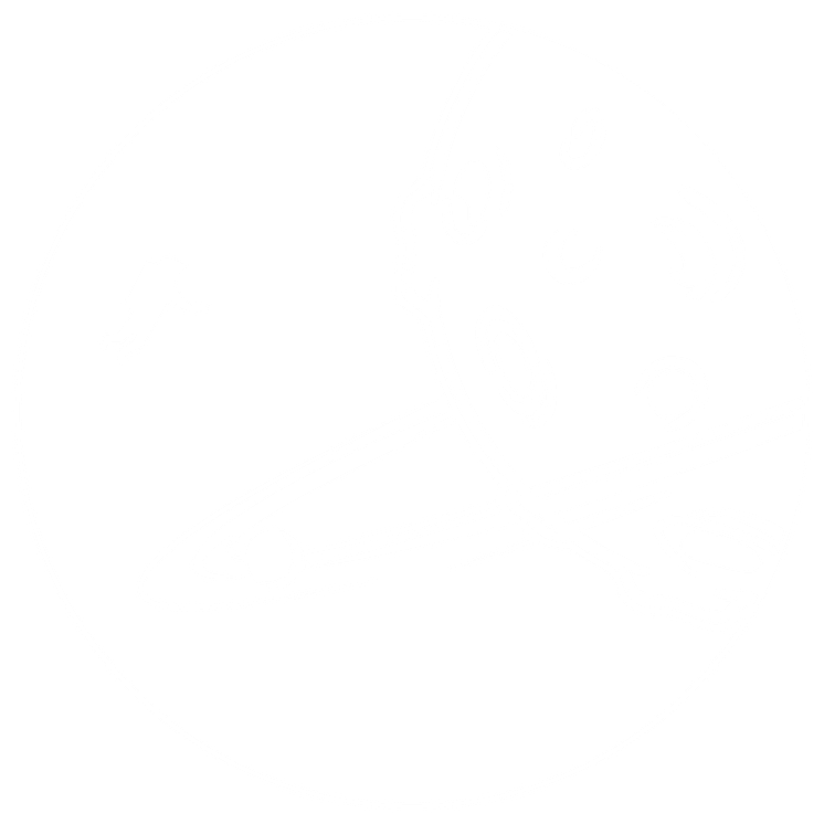FFH_logo_round_white.png