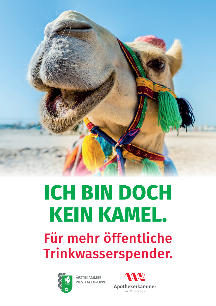 Wasser_trinken_fin.pdf
