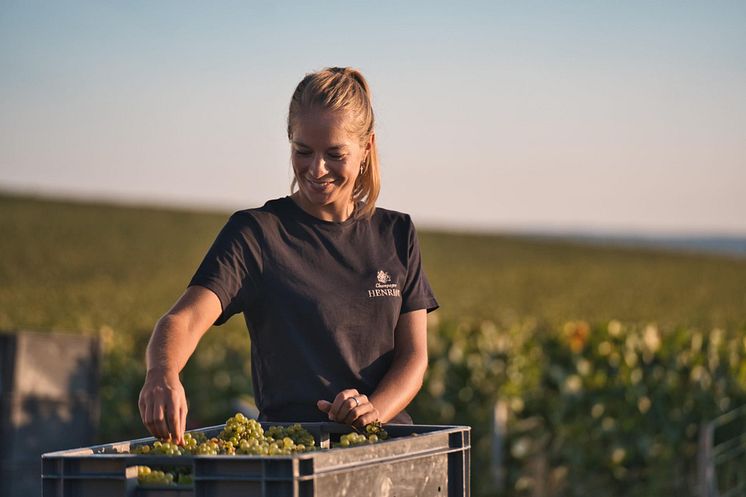 2023 09 11 HENRIOT VENDANGES @wearethegoodchildren18-min.jpg