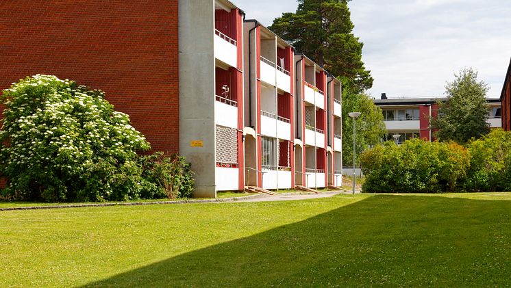 Hus.jpg