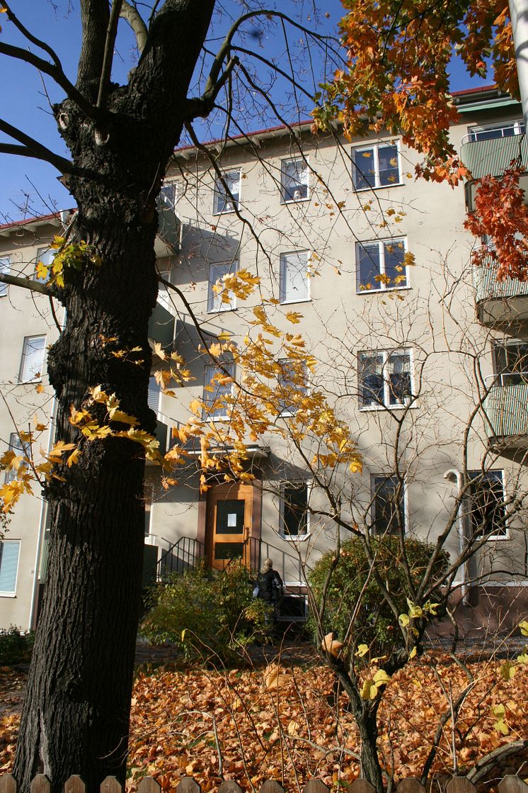 maxit Serporoc-fasad