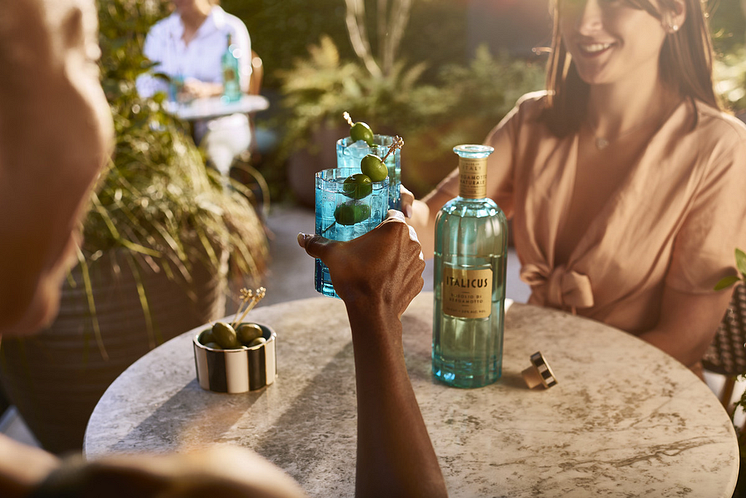 Italicus & Tonic with olive.png