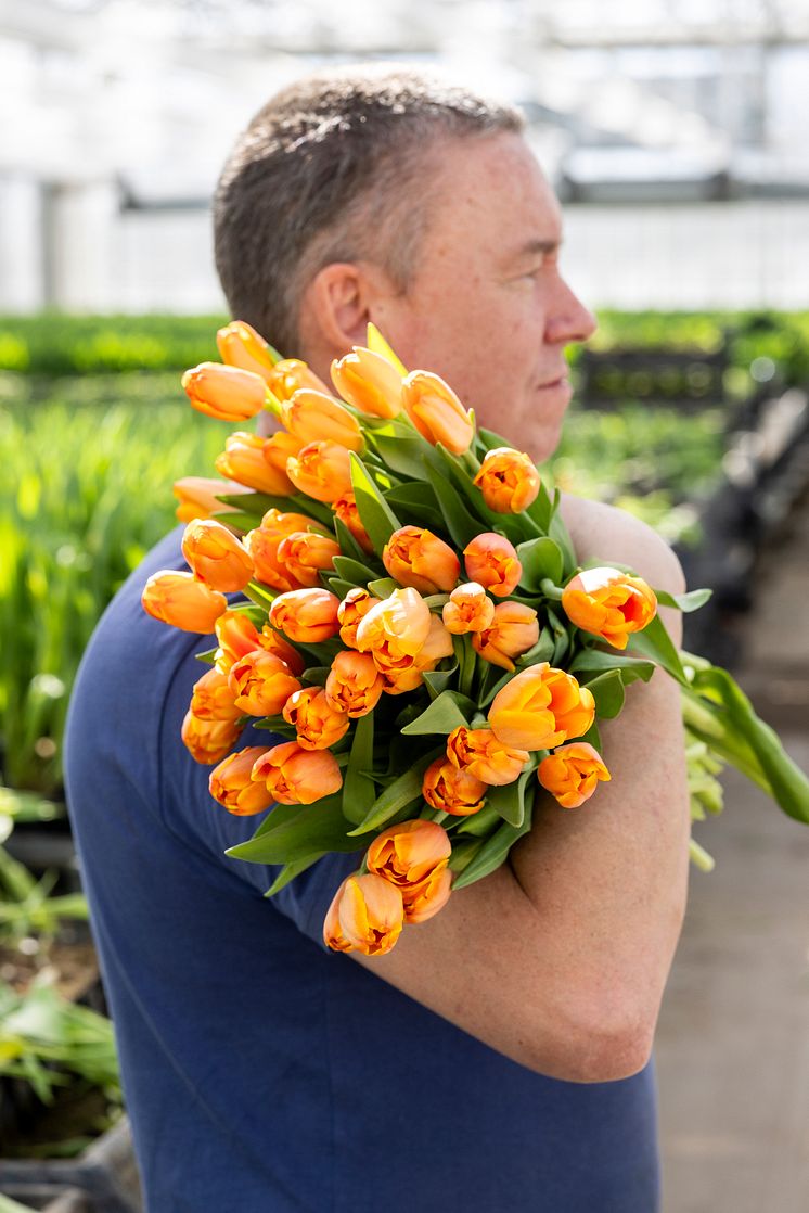 Olles Blommor