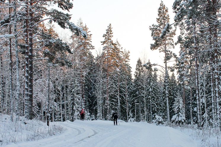 Pressbild Högbo Brukshotell & Spa_Högbo Ski Arena_1.jpg