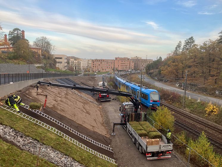 Utsikt från Ruddammsvägen vid Roslagsbanan där grön banvall anläggs i en bakslänt till Roslagsbanan.jpg