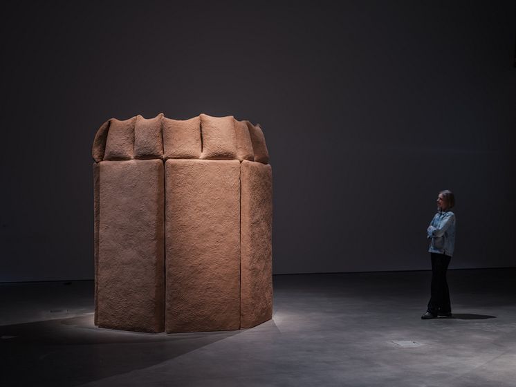 Narges Mohammadi, Attempts for Refuge, 2021