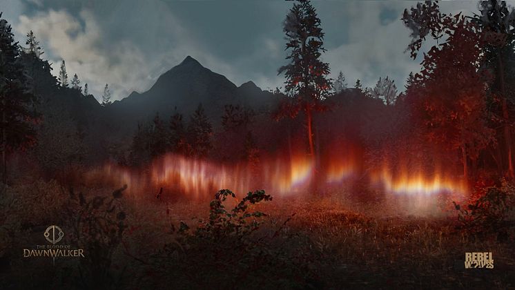 The_Blood_of_Dawnwalker_concept_art_Ominous_Forrest.jpg