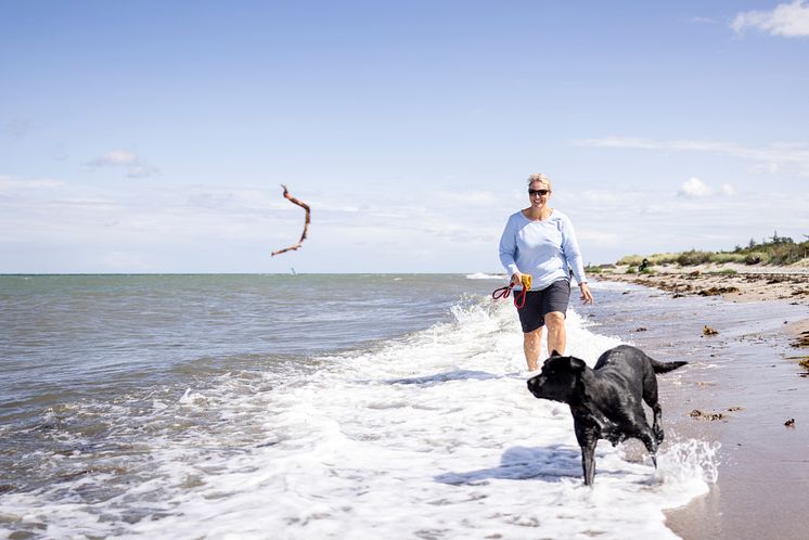 Urlaub mit Hund