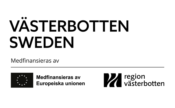 E-post signatur svart.png