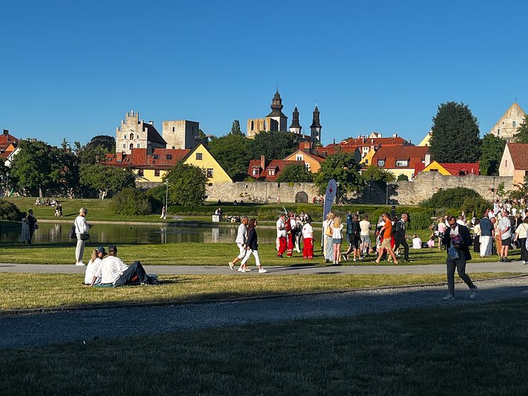 Almedalen_Forsen.jpeg