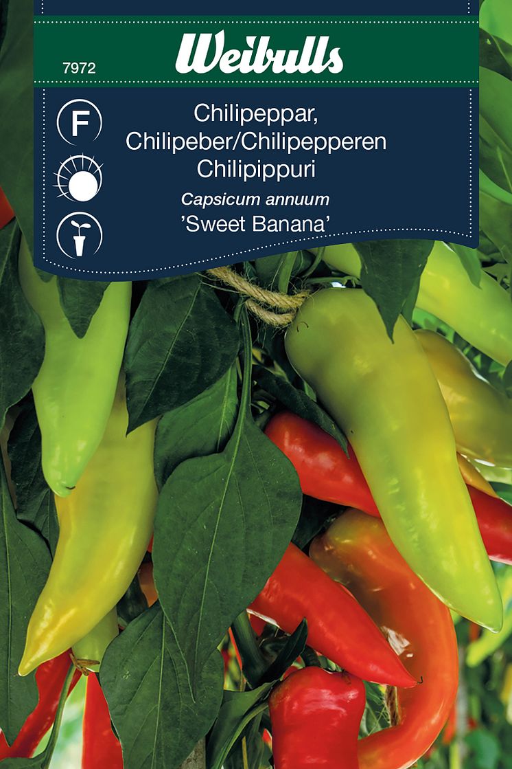 7972_chilipeppar_sweet_banana.jpg