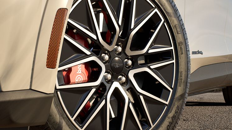 #4_2025 Mustang Mach-E Premium Wheels.jpg
