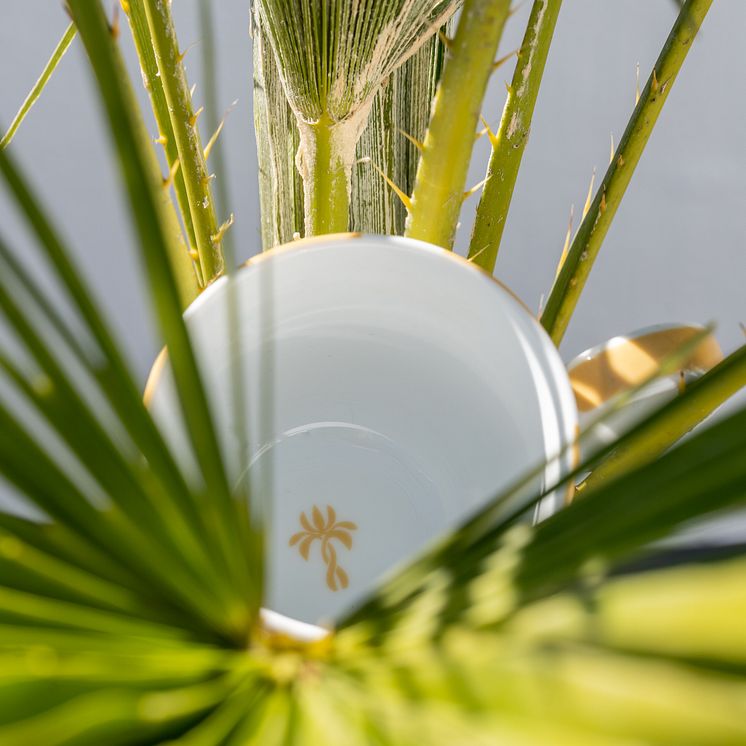 Riviera mugg 32 cl, Capri Gul