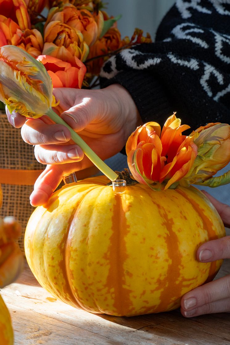 Halloweenfest med tulpaner och pumpor i dukning. DIY tips.