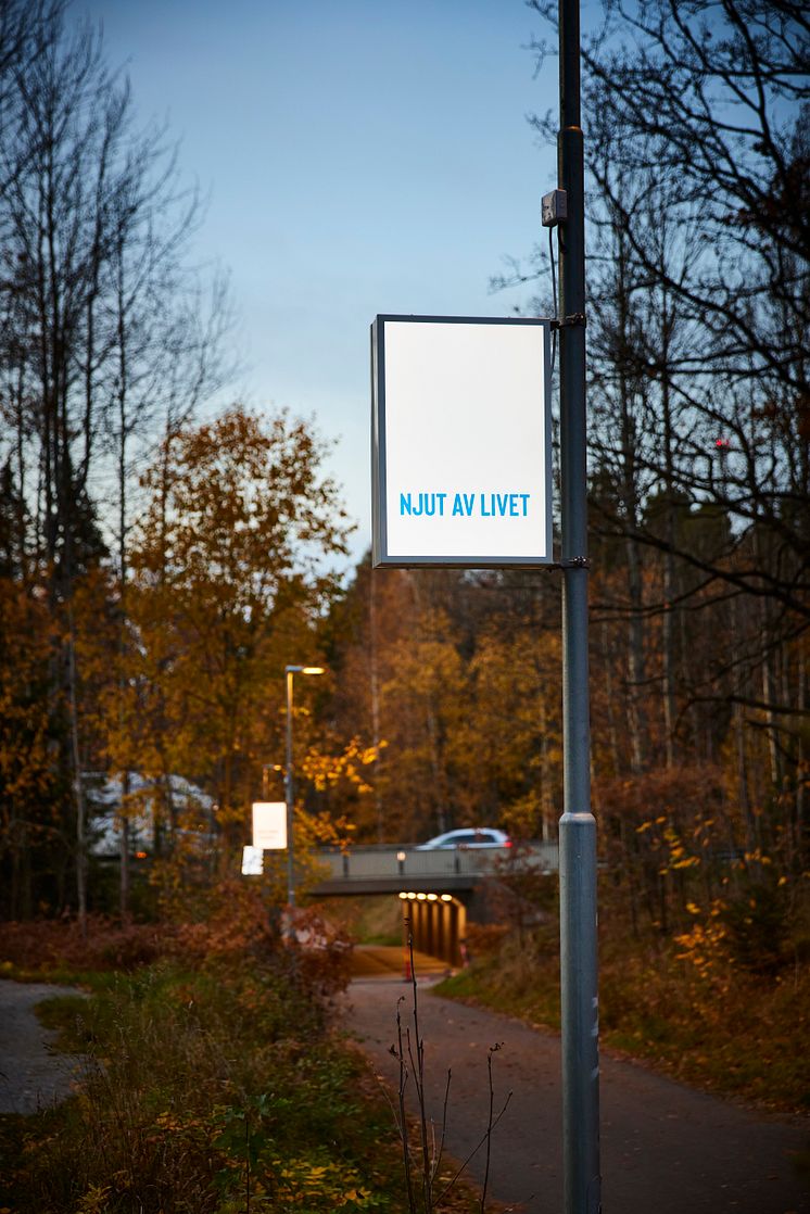 24190-587.jpg
