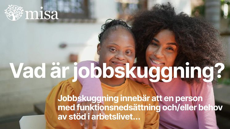 Jobbskuggning vecka 19