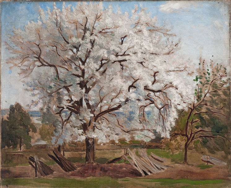 Carl Fredrik Hill, Blommande äppelträd, 1877. Olja på duk, 50 x 61 cm.  