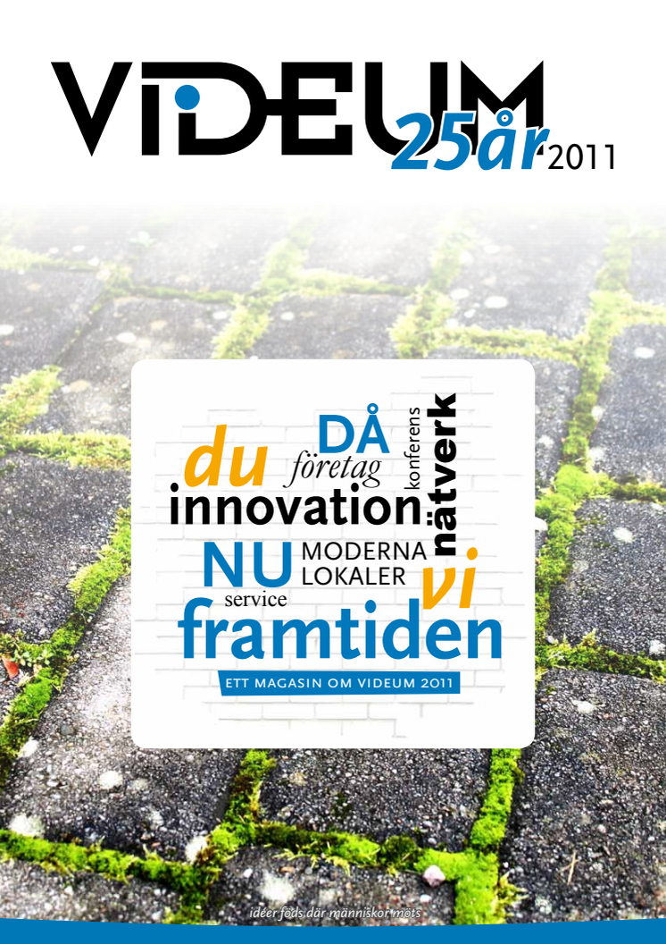 VideumMagasin 2011