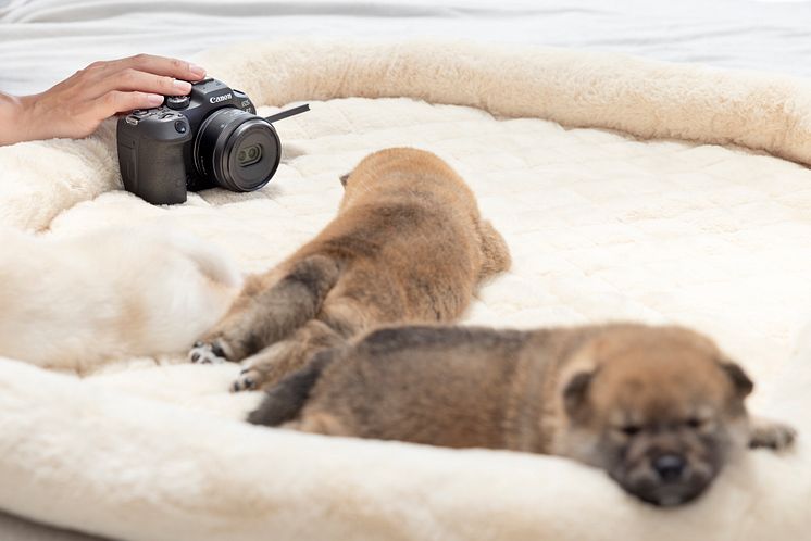 Canon RF-S 7.8mm F4 STM DUAL_Lifestyle image_240611_006[1].jpg