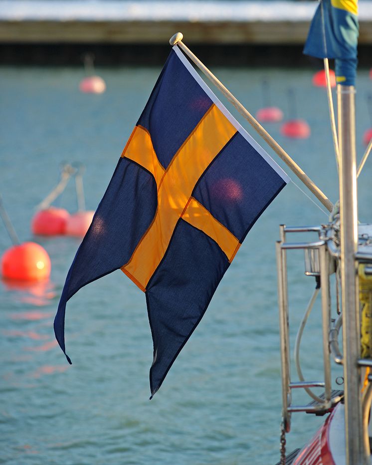 Tvåtungad båtflagga